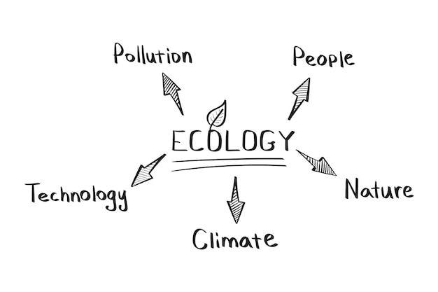 Vettore concetto di mappa mentale di ecologia in stile scritto a mano.