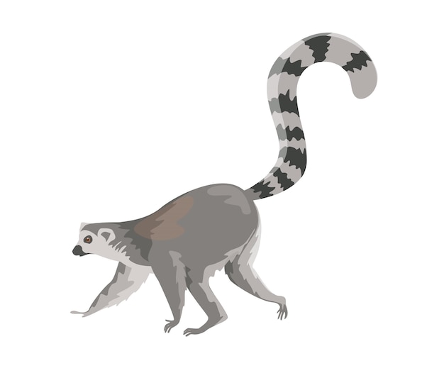 Концепция фауны животного лемура это плоская векторная иллюстрация, изображающая лемура - экзотическое животное