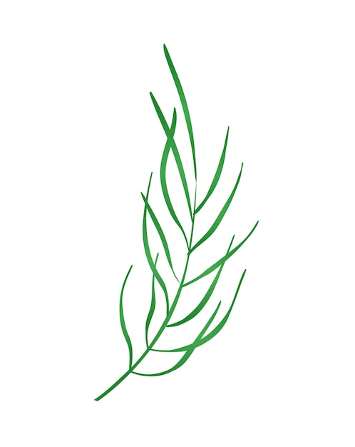 Concept Flora plant flower branch leaf The cartoonstyle green plant branch