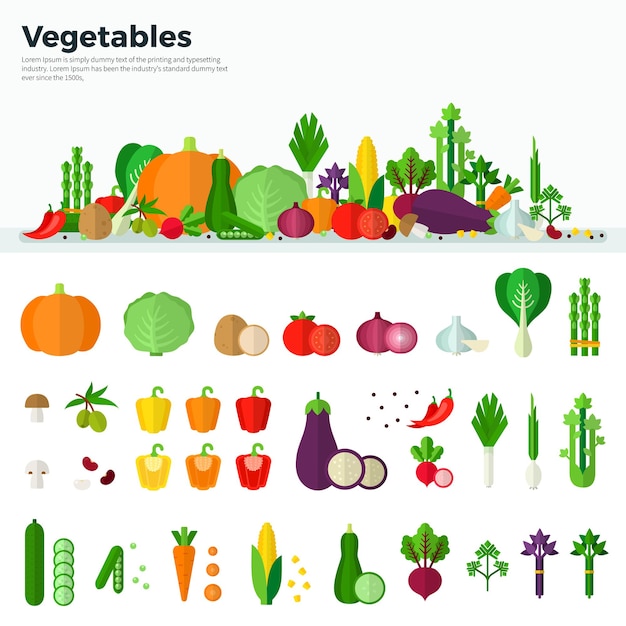 Vector concept of healthy food carrot pumpkin onion tomato mushroom