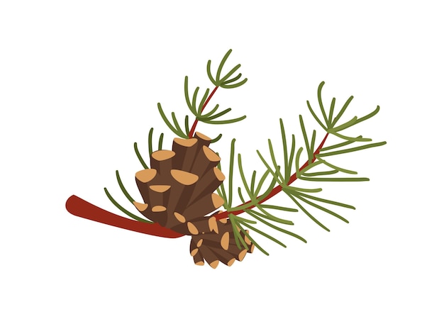 Concept Hello autumn pine tree cone branch This illustration is a flat vector design