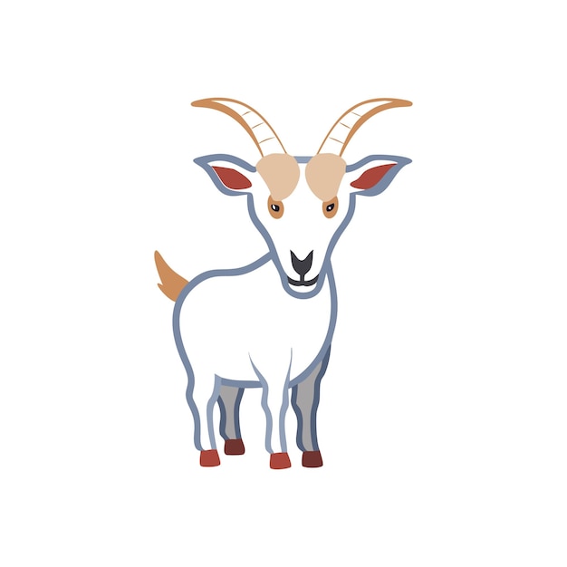 Concept of Pets and Animals