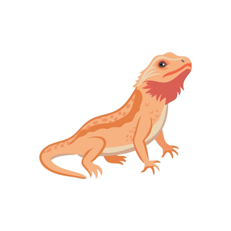 Vector concept of pets and animals