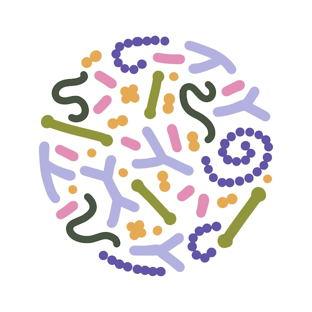 Vettore concetto di probiotici a forma rotonda bifidobacterium lactobacillus streptococcus thermophilus lactoc