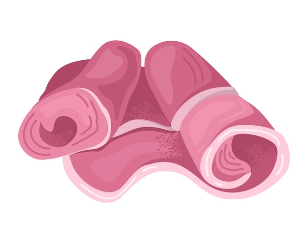 Concept vlees bacon vetlaag varkensvlees stuk ham bbq voedingsmiddel vlakke vector illustratie icoon