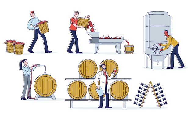 Vector concept wijnproductie. wijnmakers werken aan wijnplant. personages oogsten, pletten druiven, fermenteren most, rijpen en vullen wijn.