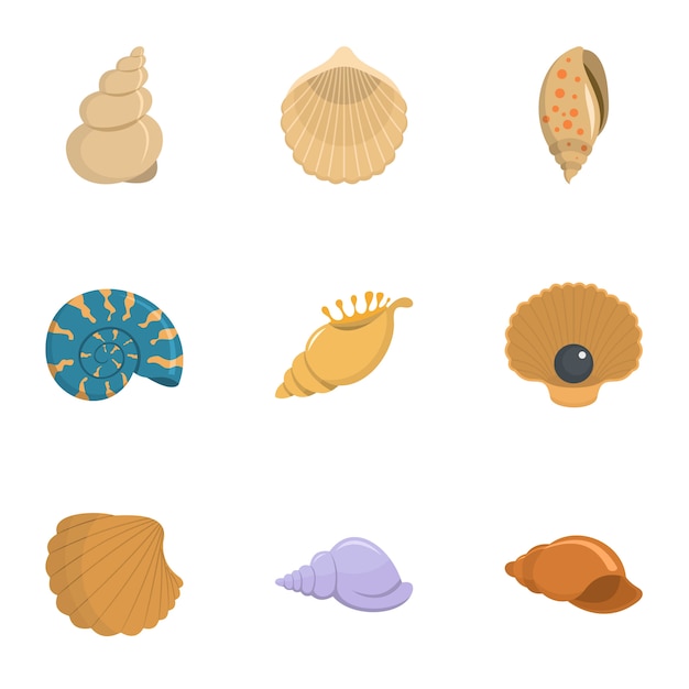 Conch icons set, cartoon style