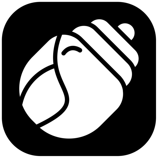 Conch Shell Vector Illustration