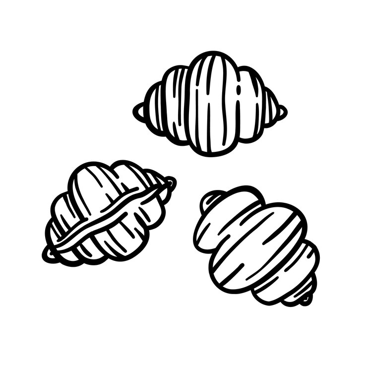 Вектор conchiglie pasta outline icon in retro engraving style handdrawn black ink vector of traditional