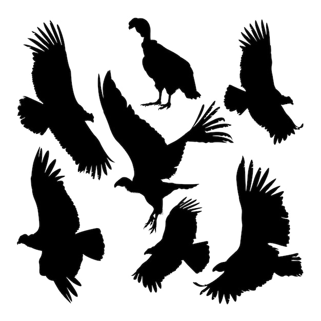 Condor bird animal silhouettes