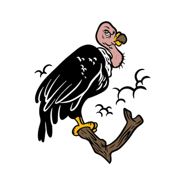 Condor Bird geïsoleerd op wit