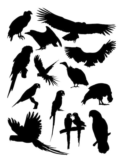 Condor and parrot silhouette