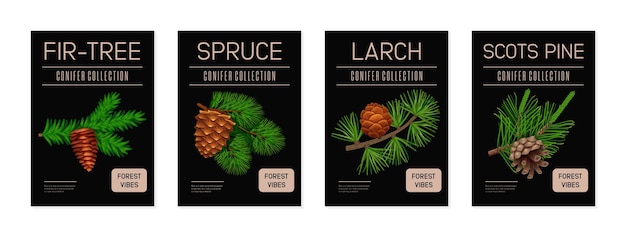 Vector conifer collection illustrations