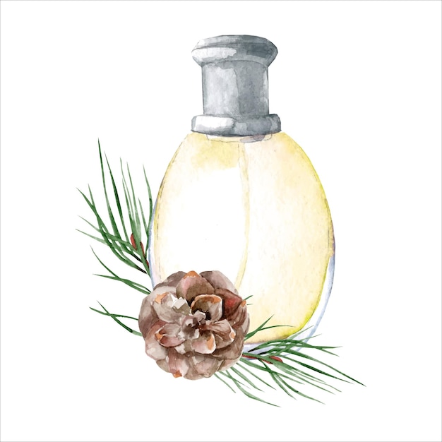 Conifer essential oil in a bottle for cosmetics relaxing massage