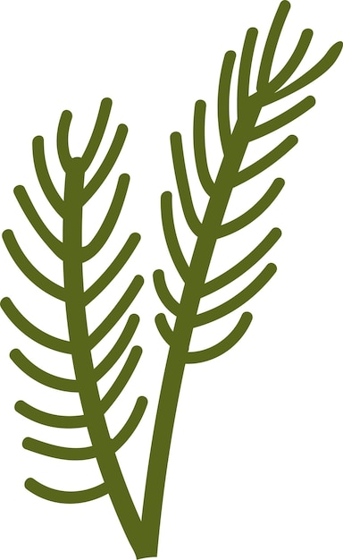 Vector coniferous branch icon