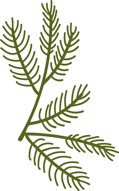 Coniferous Branch Icon