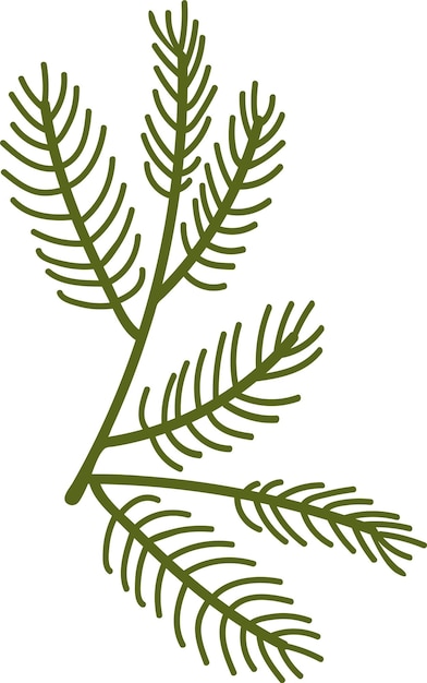 Vector coniferous branch icon