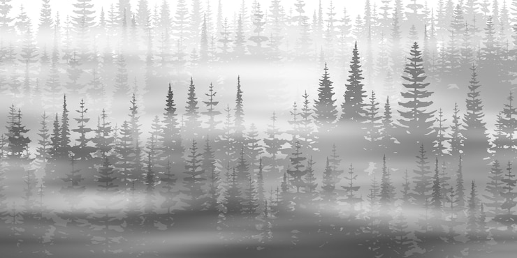 Vector coniferous forest in the morning black and white landscape