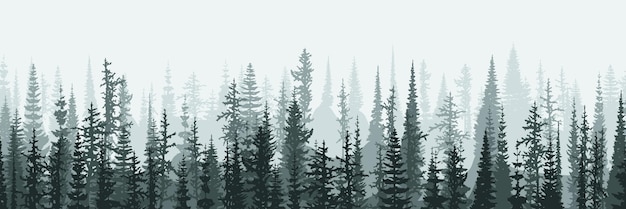 coniferous forest in the morning haze banner