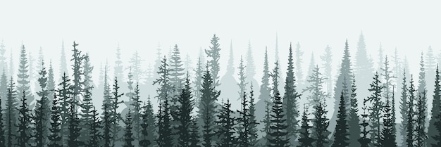 Vector coniferous forest in the morning haze banner