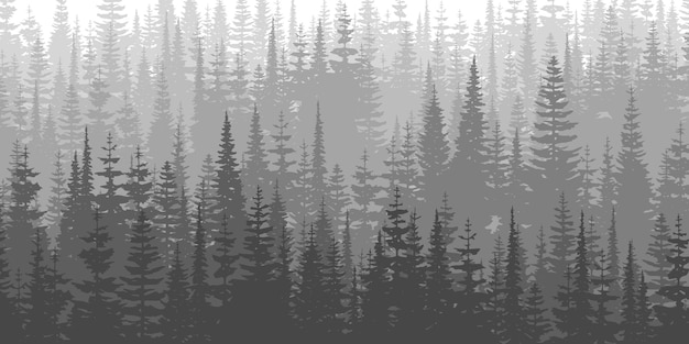 Coniferous forest in the morning haze black and white landscape