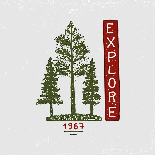 Vettore montagne della foresta di conifere e logo in legno campeggio e paesaggi di natura selvaggia con alberi di pino e colline emblema o badge tenda viaggi turistici per etichette incise disegnate a mano nel vecchio schizzo vintage