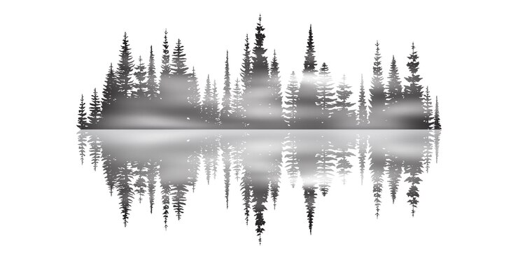 Vector coniferous forest reflected in water, black and white landscape