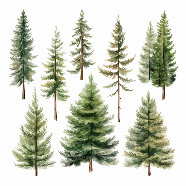 ベクトル coniferous_forest_watercolor_illustration_set について