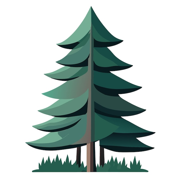 Vector coniferous tree illustration in flat 2d vector art style