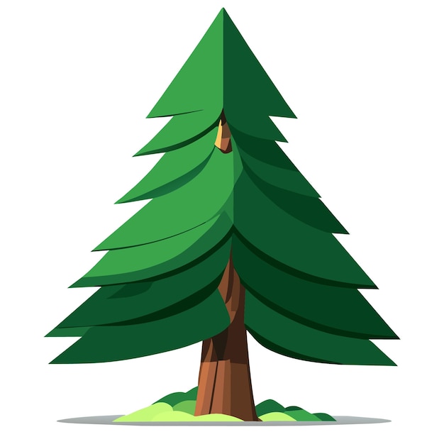 Vector coniferous tree illustration in flat 2d vector art style