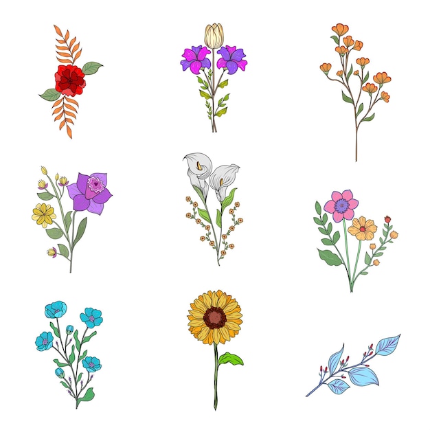 벡터 conjunto de ilustraciones de flores