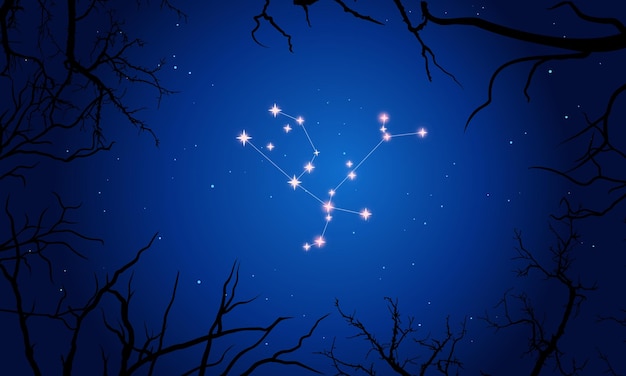 Constellation of Andromeda. Stars in the night sky with silhouette of tree