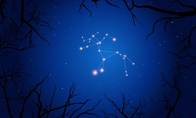 Constellation of Centaurus, stars in the blue night sky with silhouette of tree branches