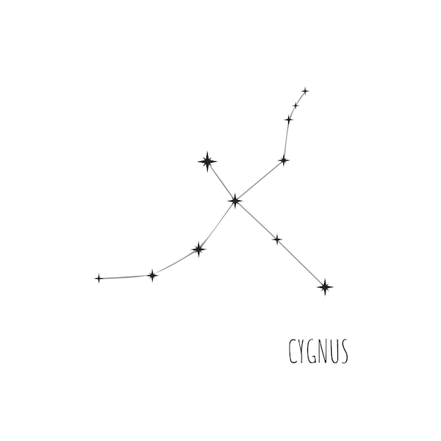 Constellation Cygnus Doodle sketch linear icon of 88 constellations set