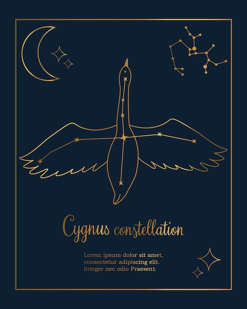 The constellation Cygnus star in the night sky