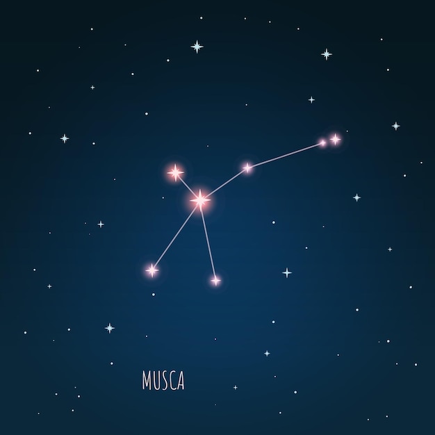 별이 빛나는 하늘의 Constellation Musca 체계, 열린 공간, 망원경을 통한 별자리