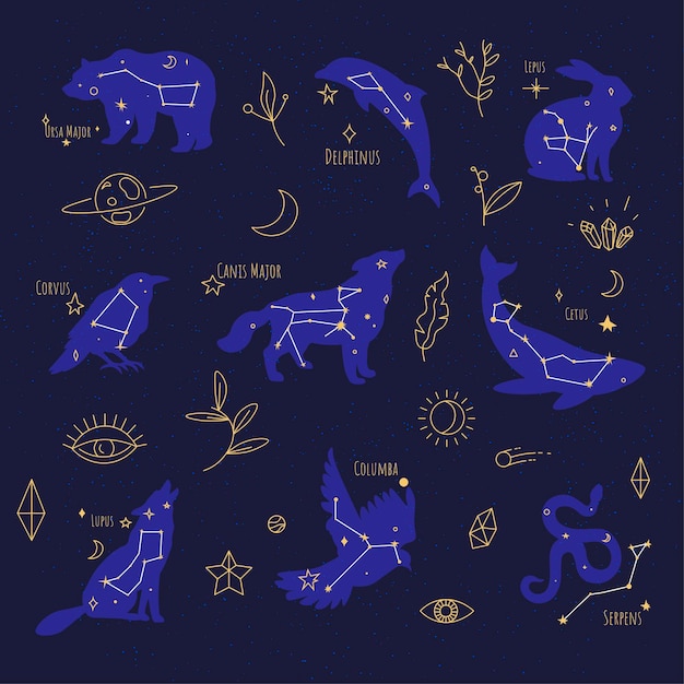 Constellations celestial bodies signs at night sky