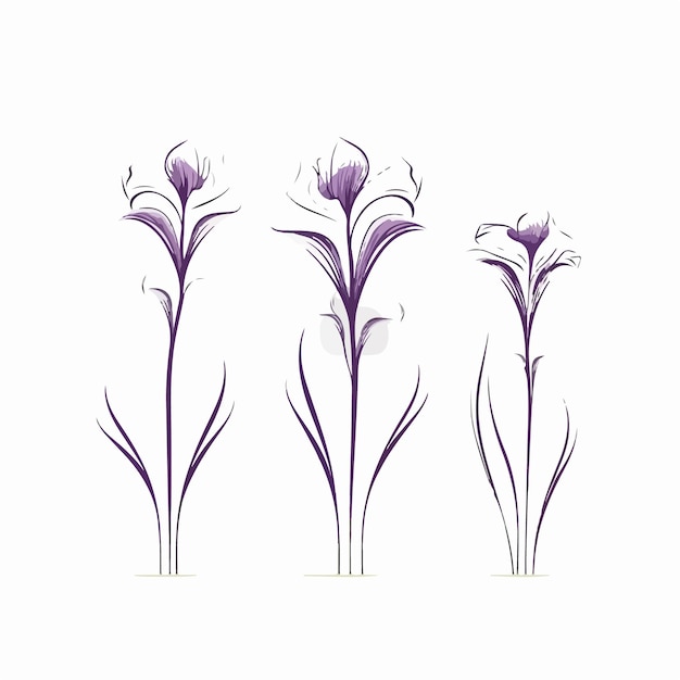 Contemporary iris vector illustration for versatile use