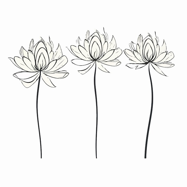 Contemporary vector illustration of a dahlia