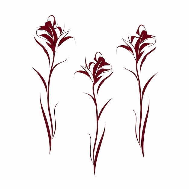 Contemporary vector illustration of a gladiolus