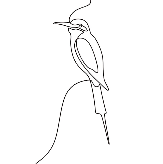 Vector continous line art bird animal black line conceptual draw