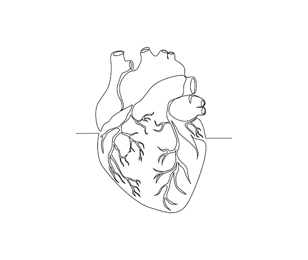 Continu één lijntekening van Human Heart Heart lijntekeningen tekening vectorillustratie Gezonde geneeskunde kunst concept