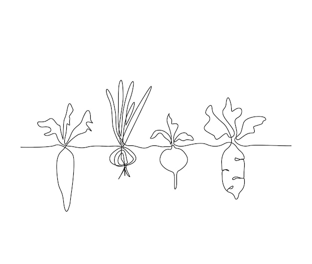 Continu lijntekeningen tekening van groenten planten groeien groente planten wortel enkele lijn kunst tekening vectorillustratie