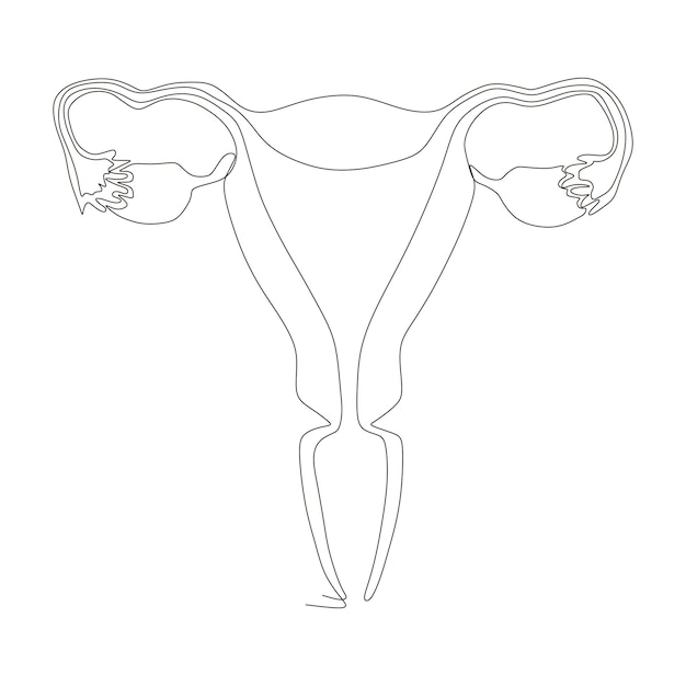 how to Draw Human Male/Female Reproductive System Diagram step-by-step  Tutorial - YouTube