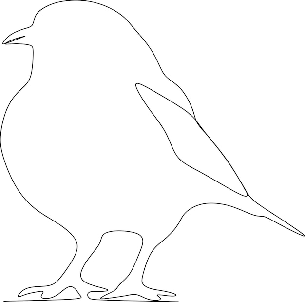 Vector continuous line of birds animals