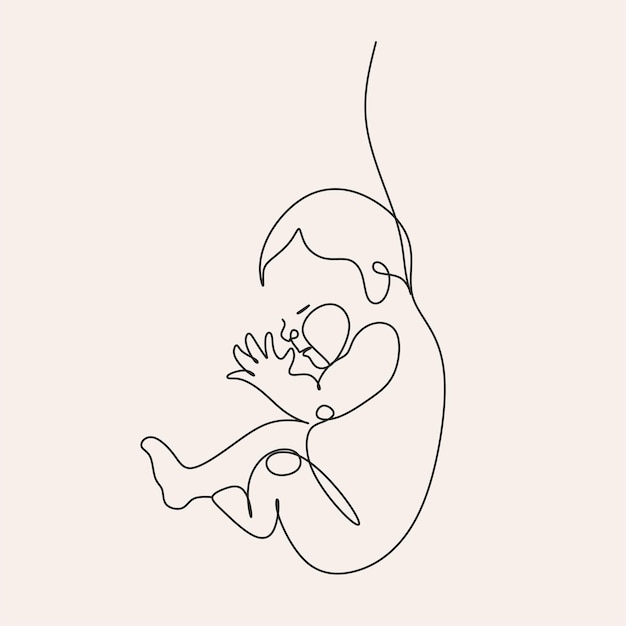 Continuous line drawing Baby in womb on the white background Vector illustration