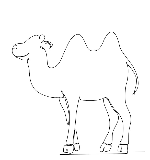 continuous line drawing of camel