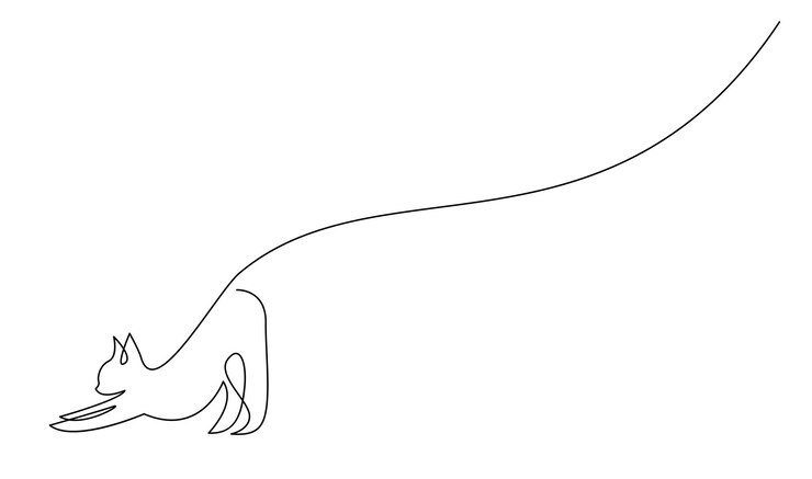 Vector continuous line drawing of cat on white background