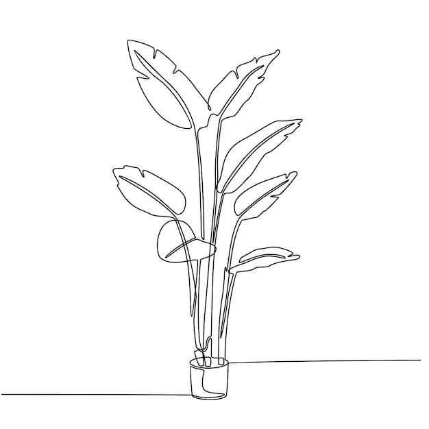 continuous line drawing of home potted plant vector illustration