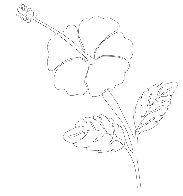 Disegno a linea continua di fiori a foglia